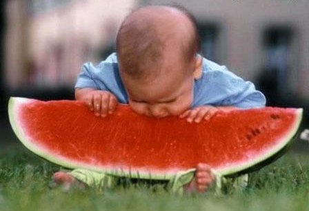 baby eating a watermelon picture caption