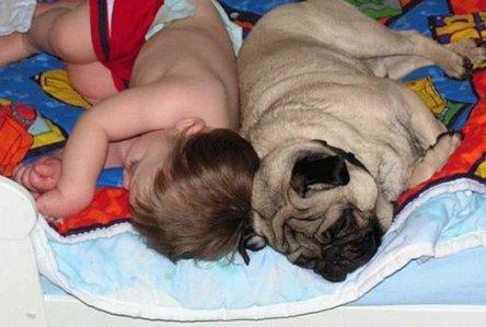 baby with dog sleeping picture caption