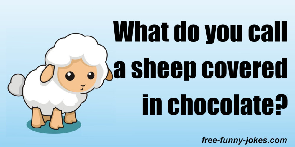 What Do You Call a Sheep Covered in Chocolate